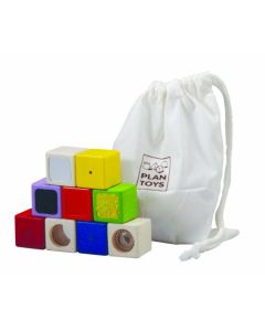 PlanToys Activity Blocks