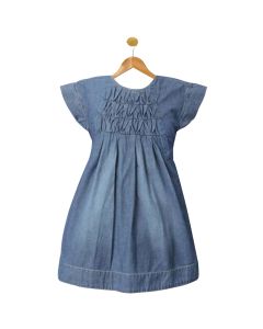 Blue Chambray Dress